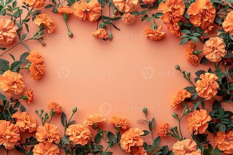 orange flower border stock  images  backgrounds