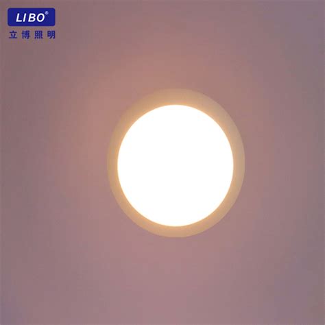 Supply LED Disk Lamp DL-4-9DCT Wholesale Factory - Libo Lighting ...