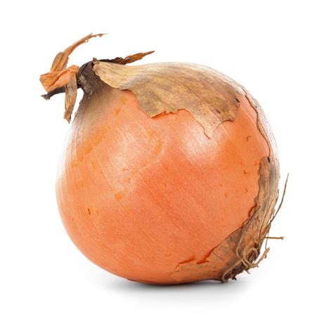 Onion Isolated Free Stock Photo - Public Domain Pictures