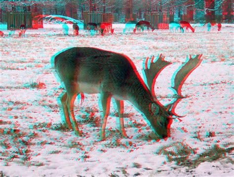 images 3d anaglyphes
