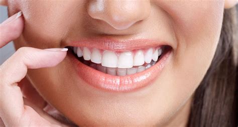 Why do humans grow two sets of teeth? These marsupials are rewriting ...