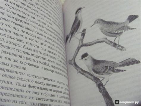 Книга: Происхождение видов - Чарльз Дарвин. Купить книгу, читать ...