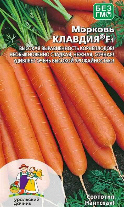 Морковь КЛАВДИЯ F1. Морковь. Семена овощей. Интернет-магазин Уральский ...