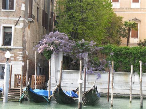 The Travel Advisors -Nina Kay