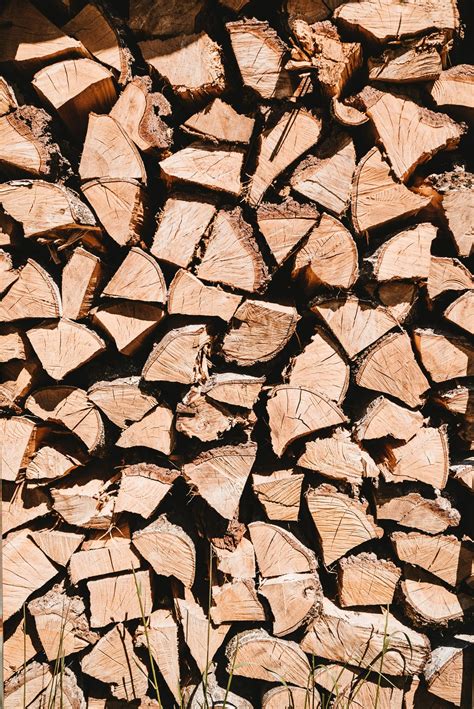 Bonfire safety with County Logs and Coal | Logs Essex