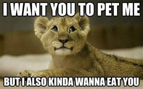 I Want You Meme Funny - Funny PNG