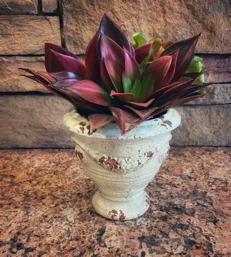 White Provencial-Style Urn, Small – Lilies and Lavender Designs