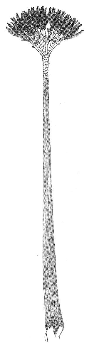 gilboa tree northern catskills history