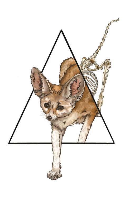 Fennec fox and skeleton, digitally drawn in autodesk by me (my first ...