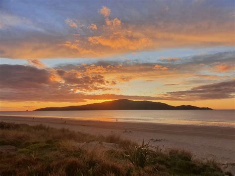 cool     waikanae