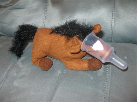 stuffed animal pacifier