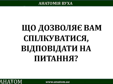 #AURIS / # ВУХО – АНАТОМ | ANATOM.UA
