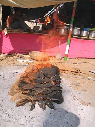 bahan bakar kotoran hewan kering wikipedia bahasa indonesia