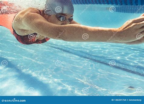 Female Swimmer Gliding in Pool Stock Photo - Image of training ...