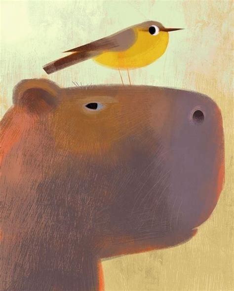 капибара | Capibara