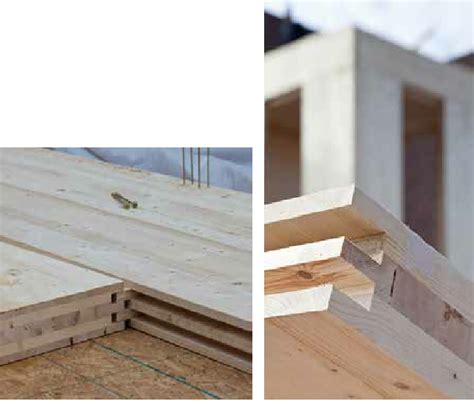 single internal spline  scientific diagram