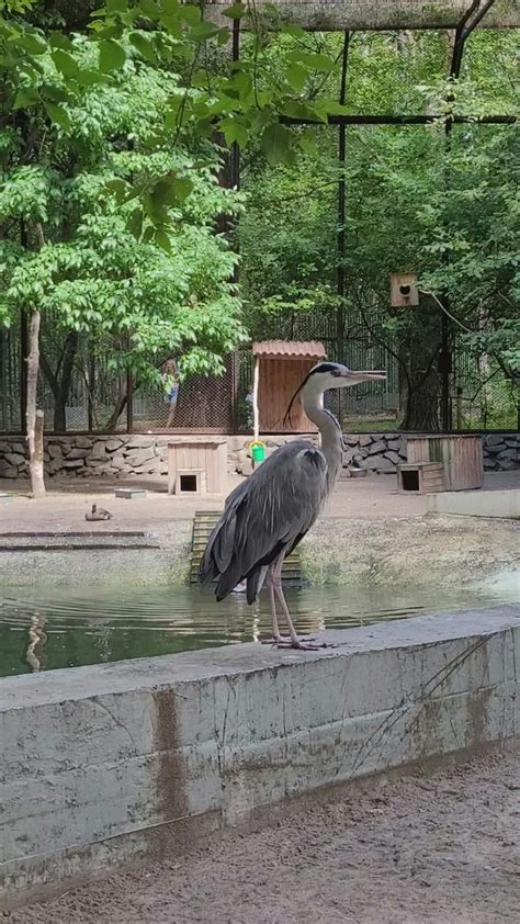 Ffm+Video Videos, Download The BEST Free 4k Stock Video Footage & Ffm