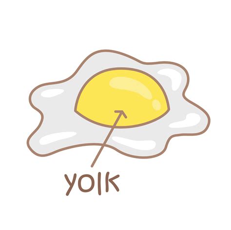 how to separate yolk