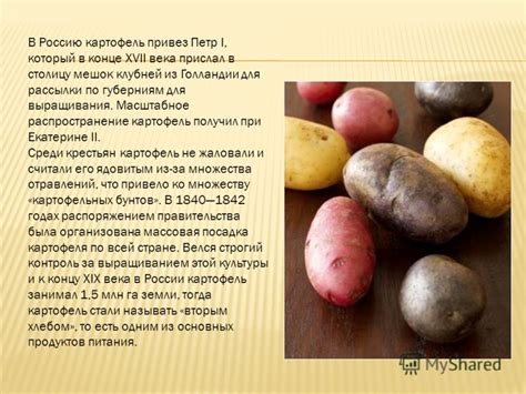 Презентация на тему: "Работа по биологии Ученицы 9 класса Хохолкиной ...