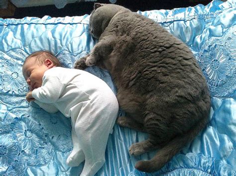 Дети и их 4-лапые друзья
