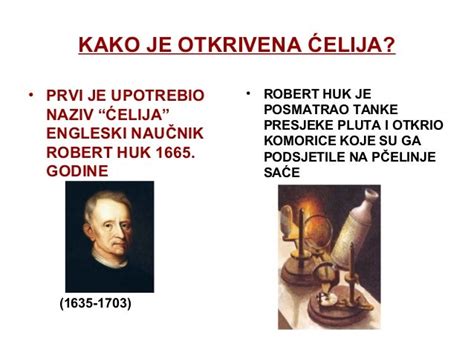 Ćelija