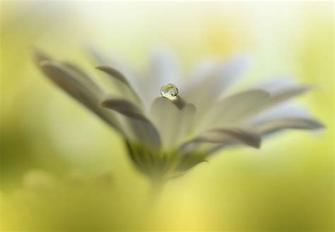 ideas  boost  creativity  photography nature ttl