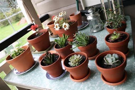 letterbox  potted colour