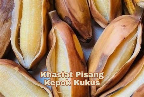 jangan  ragu  mengonsumsi pisang kepok kukus yuk ambil