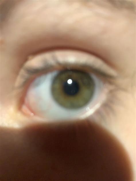 Hey Pandas, Show Us Your Eyes (Closed) | Bored Panda