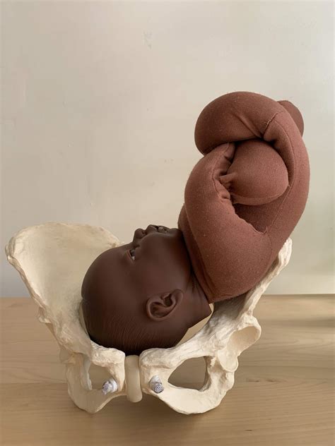 Birth Anatomy - A Guide to Mother's Birth Anatomy - Spinning Babies