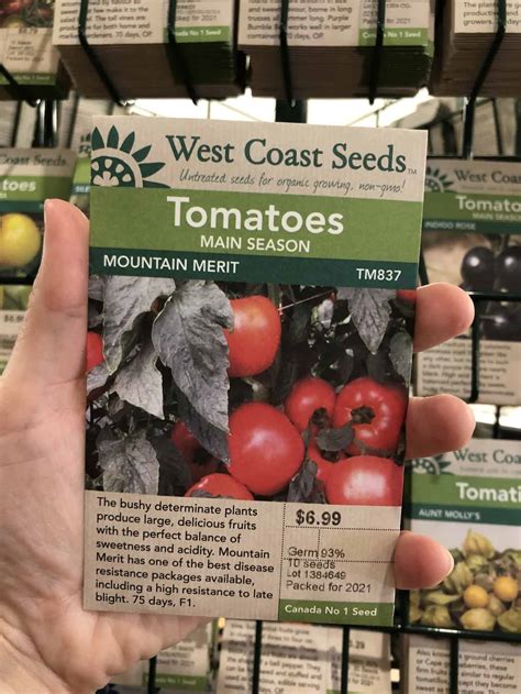 Determinate tomatoes ???????? Discover varieties perfect for compact spaces