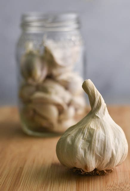 Garlic Spice Fresh - Free photo on Pixabay - Pixabay