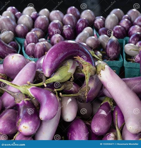 Pile of Freshly Picked Eggplant Stock Image - Image of natural, baskets