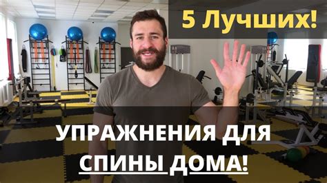 Лучшие упражнения для укрепления мышц спины в домашних условиях без ...