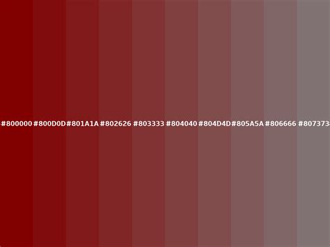 Maroon color (Hex 800000)