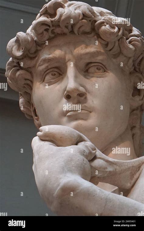 King David, Statue in Museum in Florence, Italy Stock Photo - Alamy