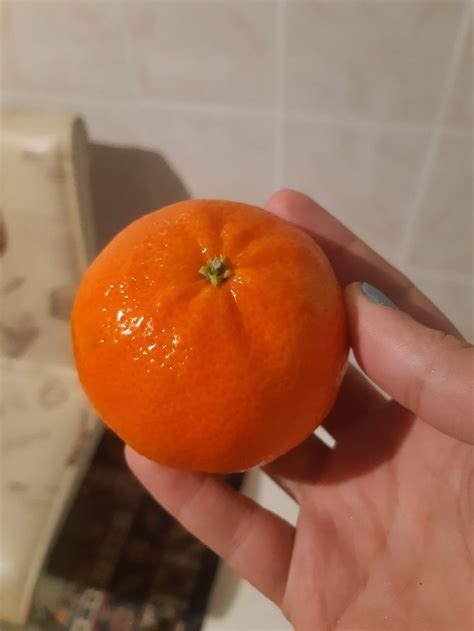 Mandalina