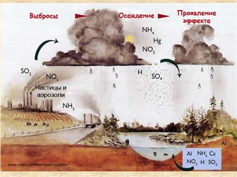 "Кислотные дожди" - презентація з географії