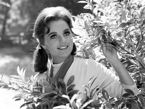 Dawn Wells : r/ClassicScreenBeauties