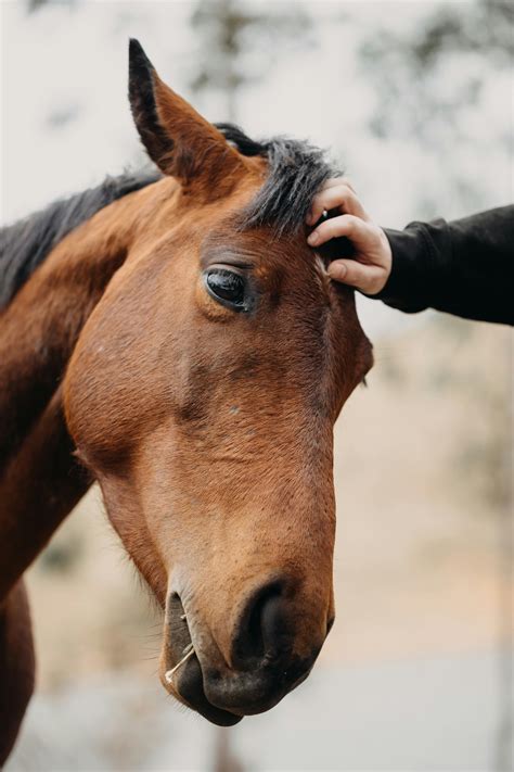 Teen+Girls+Pubic+Hair+Photos Photos, Download The BEST Free Teen+Girls