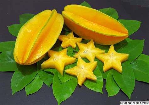 Viveiro Ciprest - Plantas Nativas e Exóticas: Carambola Doce de Minas ...