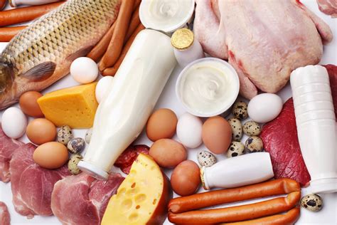 Перечень продуктов с высоким содержанием белка