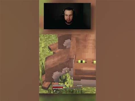 что за диназавр? #minecraft #игры #геймплей #игровойролик #shortsvideo ...