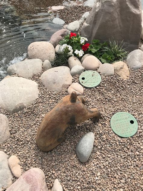 The swimming pond is coming along! - Jewel of Encanto Farm