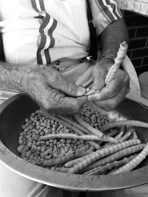 shelling peas smithsonian photo contest smithsonian magazine