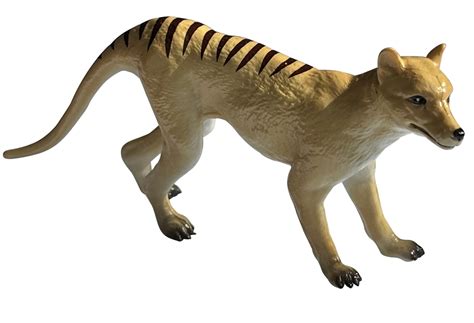 Thylacine Replica (pack Of 10) - Science And Nature