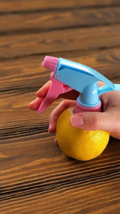 Unlocking The Secrets Of Skyward Citrus The Rise Of A New Superfood