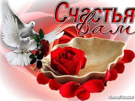 ОТКРЫТКИ ДЛЯ ЛЮБИМЫХ ДРУЗЕЙ И УЧАСТНИКОВ ГРУППЫ (ДОБАВЛЯЕМ ПО 1-Й В ЧАС ...