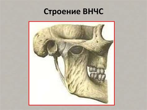 Острая травма ВНЧС у детей. Отдаленные последствия травмы ВНЧС - online ...