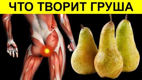 Даже одна ГРУША вызывает НЕОБРАТИМЫЙ процесс в организме. Польза и вред ...